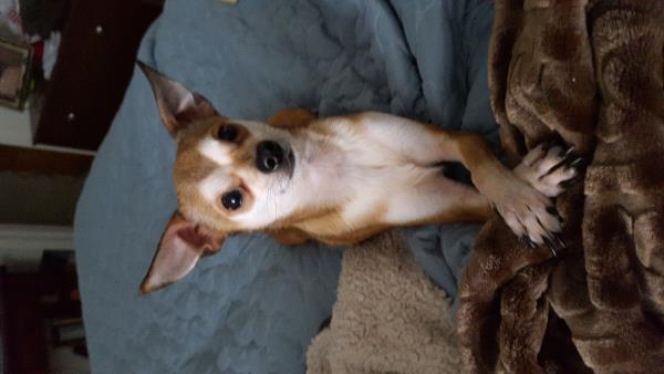 /Images/uploads/Humane Society of Utah/HSUCalendar/entries/1020thumb.jpg